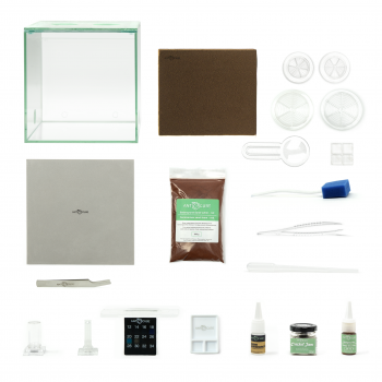 Bundle Offer - Lasius niger